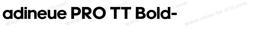 adineue PRO TT Bold字体转换